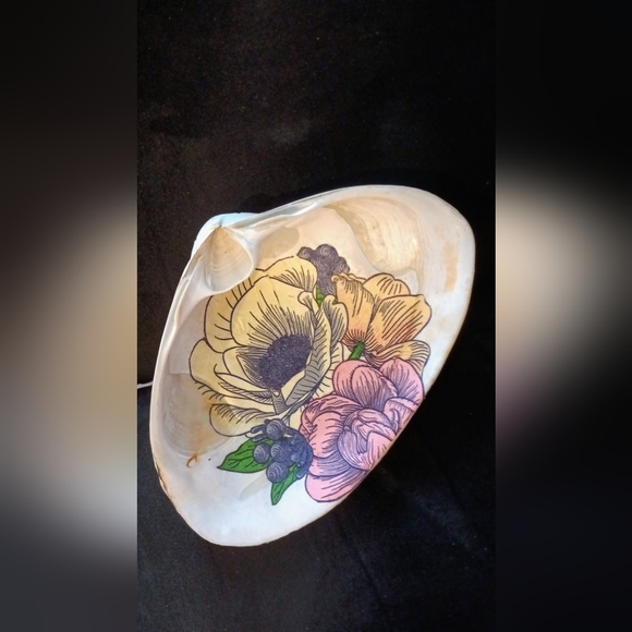 Sea shells - Picture 4 of 5